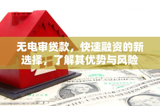 青河无电审贷款，快速融资的新选择，了解其优势与风险