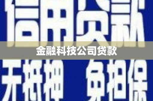 青河金融科技公司贷款