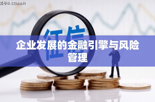 青河企业发展的金融引擎与风险管理