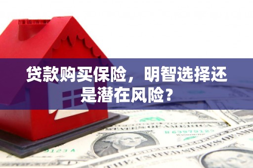 青河贷款购买保险，明智选择还是潜在风险？