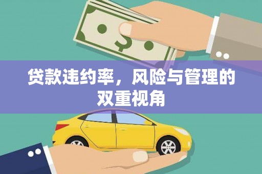 青河贷款违约率，风险与管理的双重视角