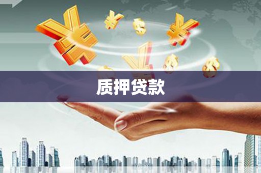 青河质押贷款