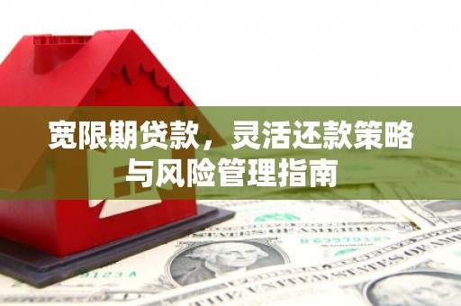 青河宽限期贷款，灵活还款策略与风险管理指南