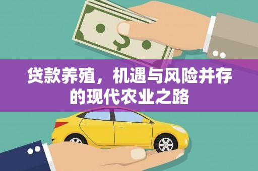 青河贷款养殖，机遇与风险并存的现代农业之路