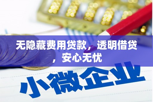 青河无隐藏费用贷款，透明借贷，安心无忧