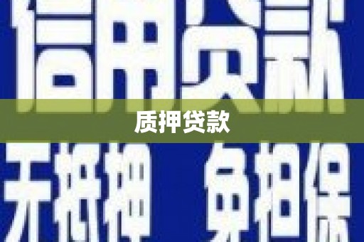青河质押贷款