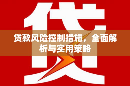 青河贷款风险控制措施，全面解析与实用策略