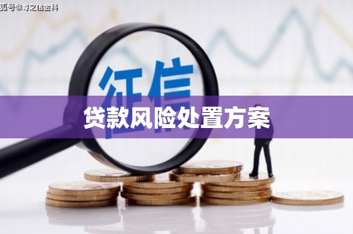 青河贷款风险处置方案