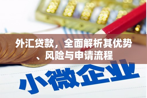 青河外汇贷款，全面解析其优势、风险与申请流程