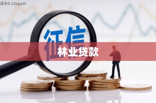 青河林业贷款