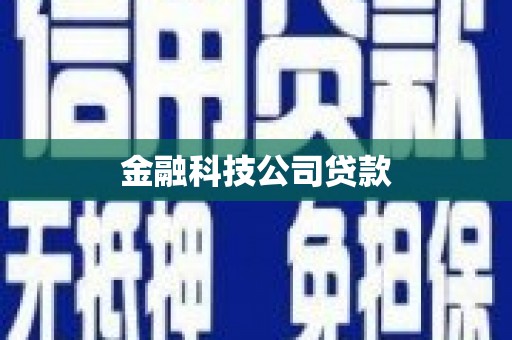 青河金融科技公司贷款