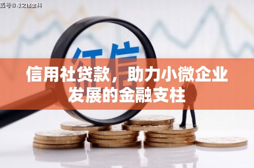 青河信用社贷款，助力小微企业发展的金融支柱