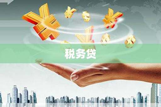 青河税务贷