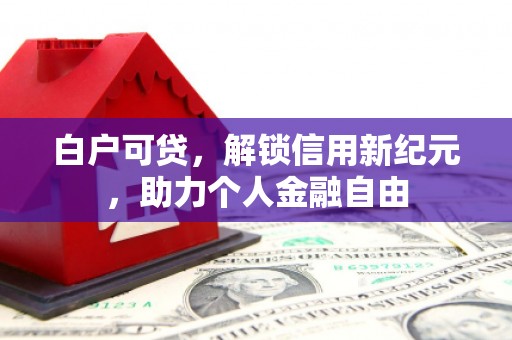 青河白户可贷，解锁信用新纪元，助力个人金融自由