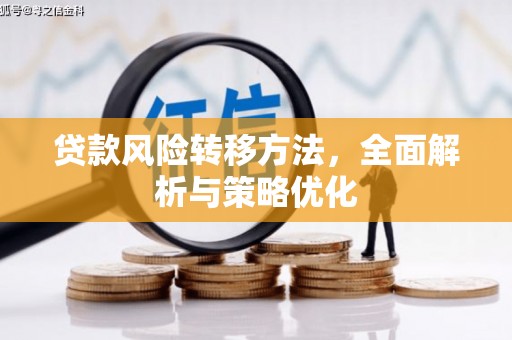青河贷款风险转移方法，全面解析与策略优化
