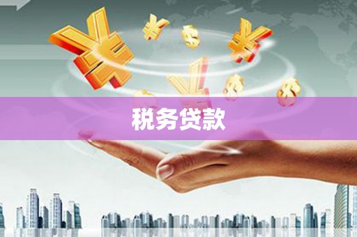 青河税务贷款