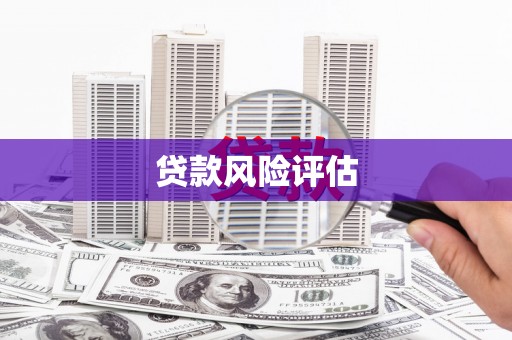 青河贷款风险评估