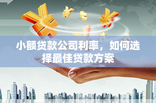 青河小额贷款公司利率，如何选择最佳贷款方案