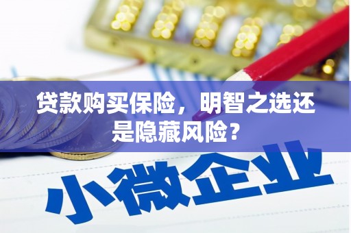 青河贷款购买保险，明智之选还是隐藏风险？