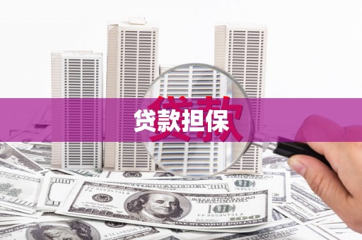 青河贷款担保