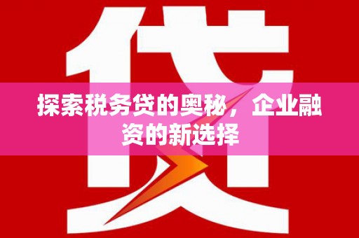 青河探索税务贷的奥秘，企业融资的新选择