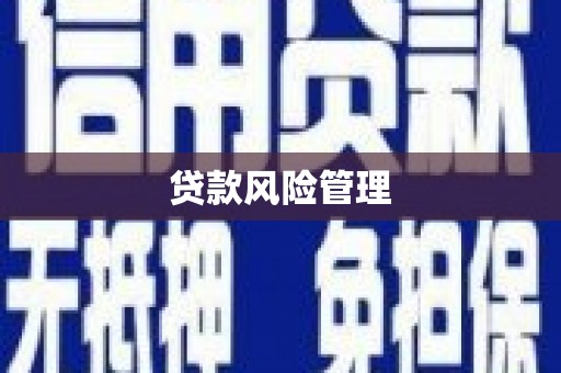 青河贷款风险管理