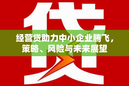 青河经营贷助力中小企业腾飞，策略、风险与未来展望