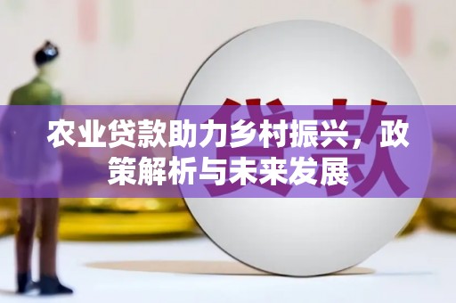青河农业贷款助力乡村振兴，政策解析与未来发展