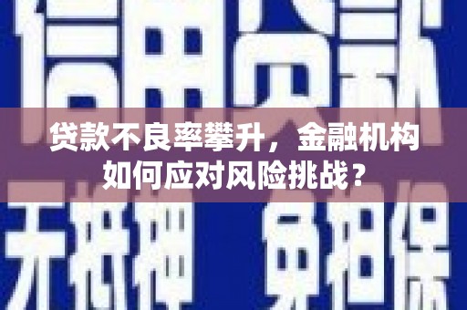 青河贷款不良率攀升，金融机构如何应对风险挑战？