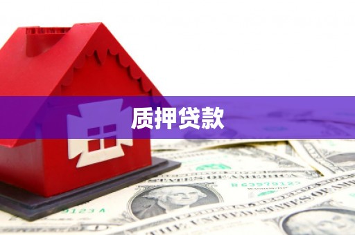 青河质押贷款