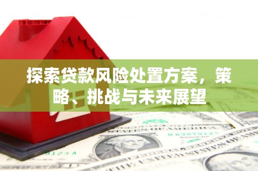 青河探索贷款风险处置方案，策略、挑战与未来展望