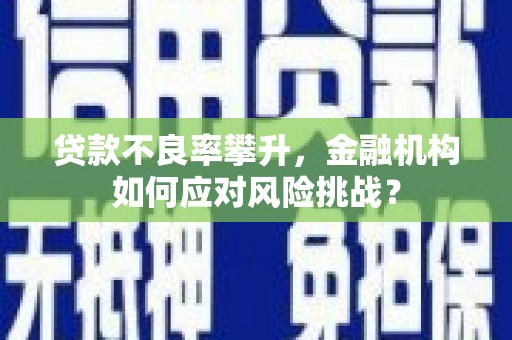 青河贷款不良率攀升，金融机构如何应对风险挑战？