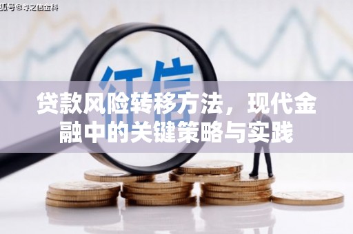 青河贷款风险转移方法，现代金融中的关键策略与实践