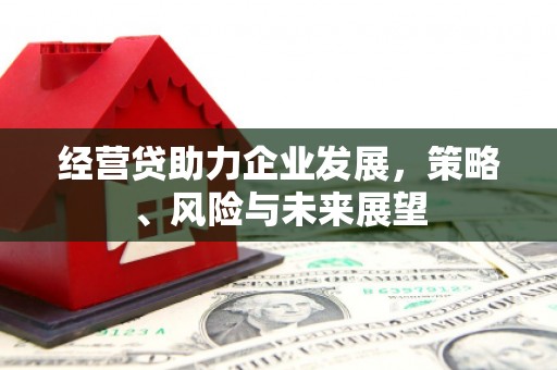 青河经营贷助力企业发展，策略、风险与未来展望