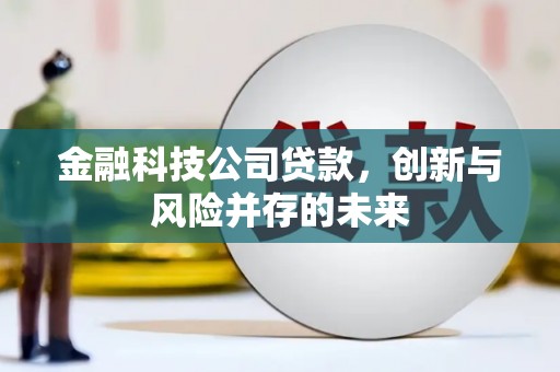 青河金融科技公司贷款，创新与风险并存的未来