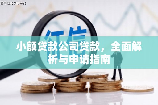 青河小额贷款公司贷款，全面解析与申请指南