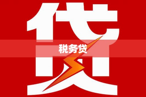 青河税务贷