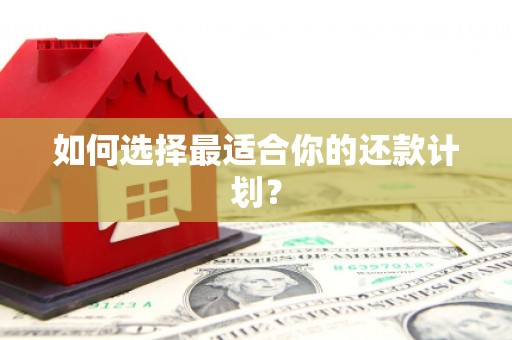 青河如何选择最适合你的还款计划？