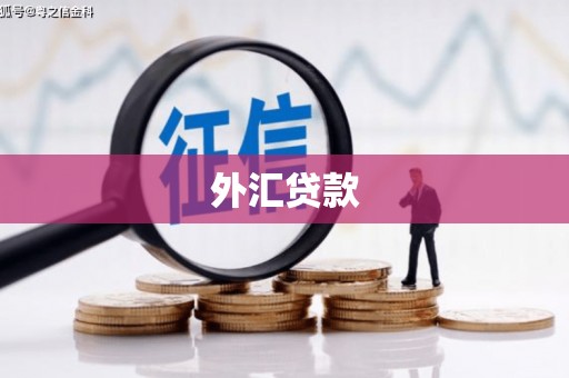 青河外汇贷款