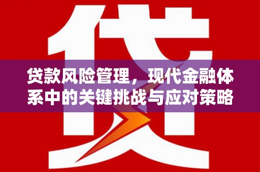 青河贷款风险管理，现代金融体系中的关键挑战与应对策略