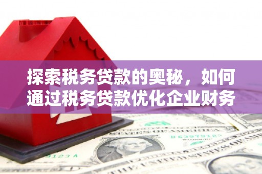 青河探索税务贷款的奥秘，如何通过税务贷款优化企业财务
