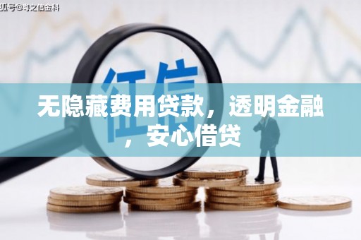 青河无隐藏费用贷款，透明金融，安心借贷