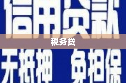 青河税务贷