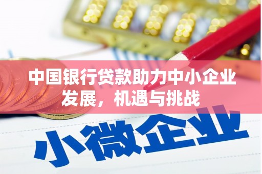 青河中国银行贷款助力中小企业发展，机遇与挑战