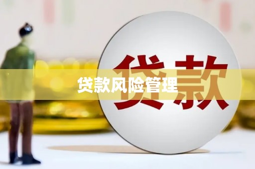 青河贷款风险管理
