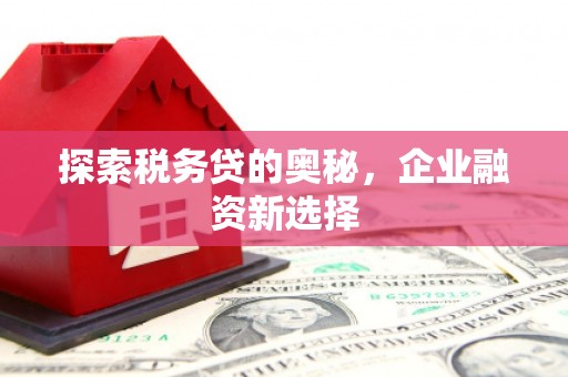 青河探索税务贷的奥秘，企业融资新选择