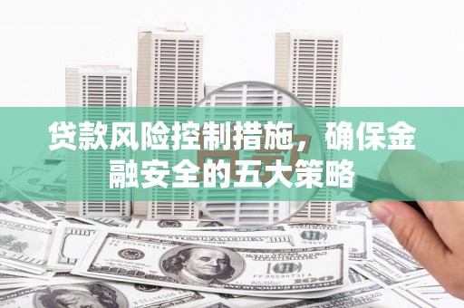 青河贷款风险控制措施，确保金融安全的五大策略