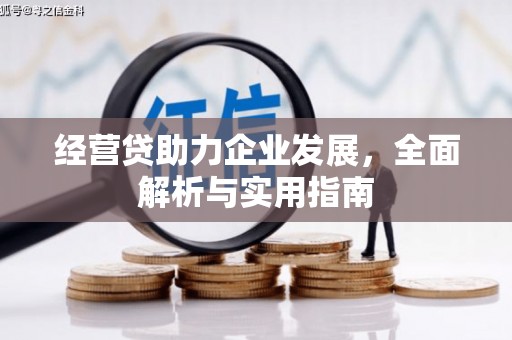 青河经营贷助力企业发展，全面解析与实用指南
