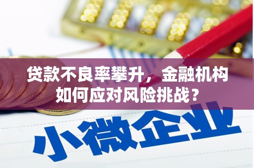青河贷款不良率攀升，金融机构如何应对风险挑战？