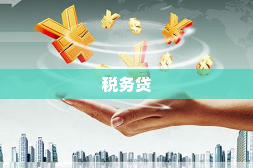 青河税务贷